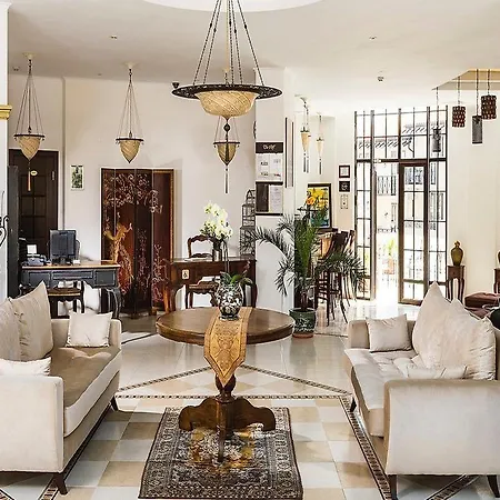 The Cliff 奥布佐尔