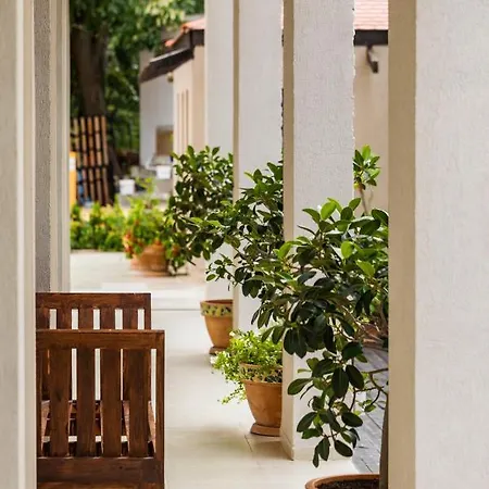 The Cliff 奥布佐尔