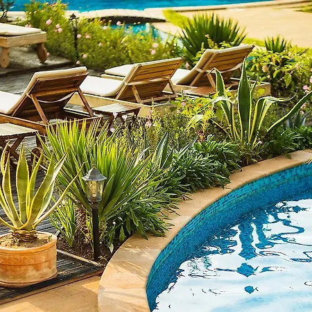 The Cliff Resort Obsor