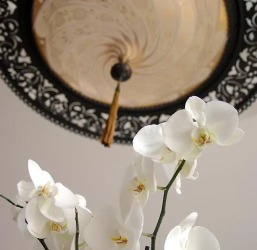 The Cliff Feriested 4*