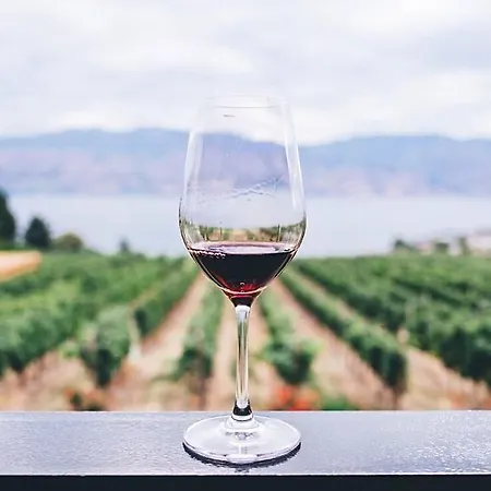 The Cliff Ośrodek wypoczynkowy Obzor